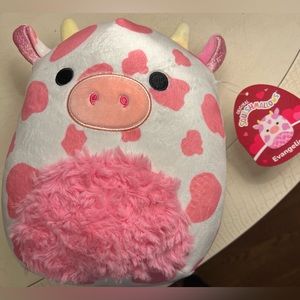 Evangelica/ 8 inch/ new